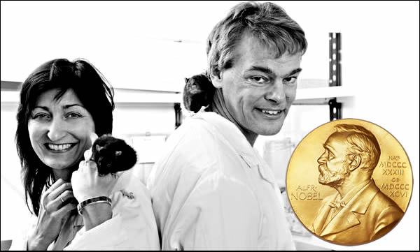Professors May-Britt Moser and Edvard Moser at the Norwegian University of Science and Technology have been awarded the Nobel Prize for 2014 in Physiology or Medicine