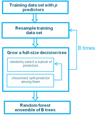 Figure 2: Overview of the training procedure for a Random Forest model