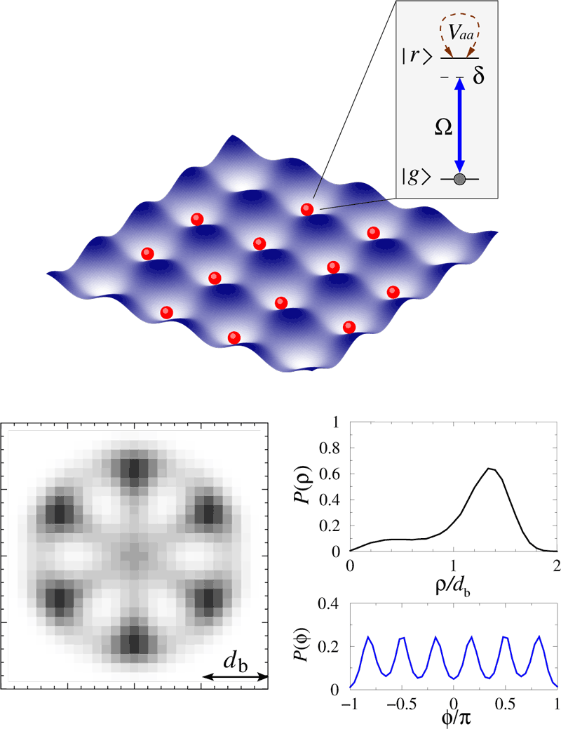 Figure 2: Realising interacting spin lattice models with laser driven atoms.  Upper panel illustrates an optical lattice potential for ground state atoms and laser coupling to the strongly interacting Rydberg state. Lower panel shows spatial configuration of six Rydberg excitations, with the axial P(ρ) and angular P(φ) probability distributions, in a 2D disk shaped lattice of 400 atoms driven by a resonant field.