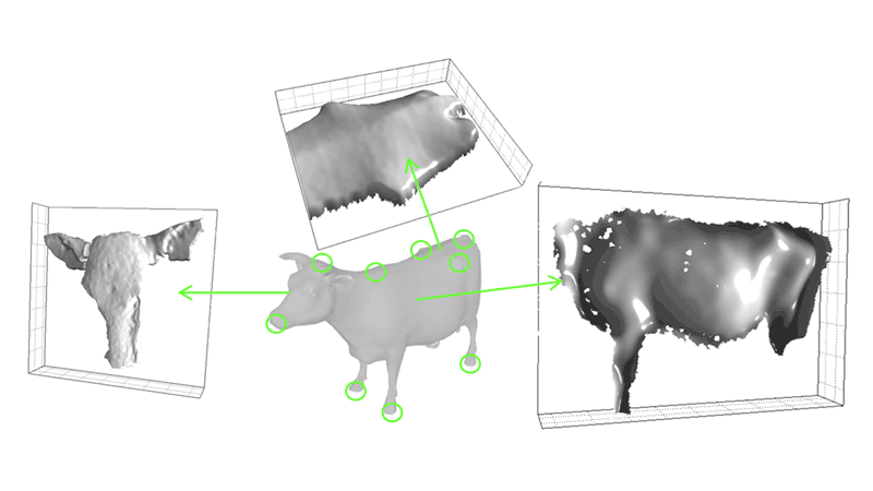 Figure 1: The system was implemented in order to allow a fast extraction and monitoring of different cow body parameters and in particular heart girth, length and height.