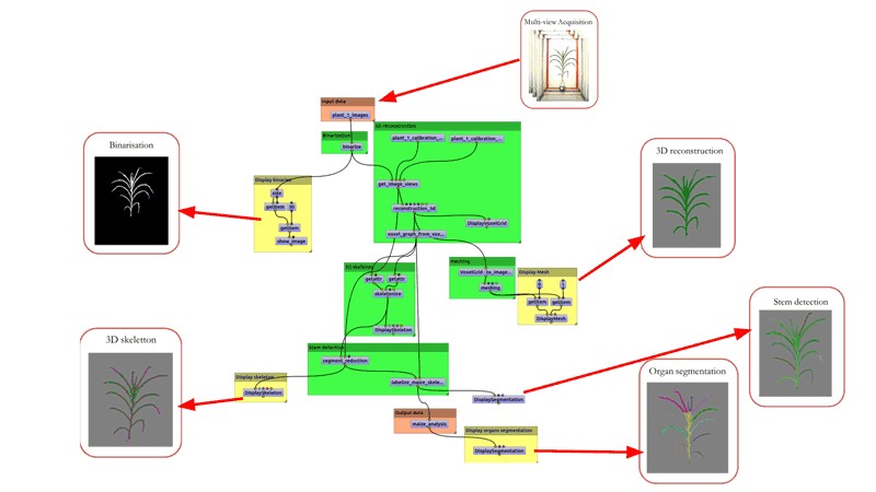 Figure 2: The 3D reconstruction workflow Phenomenal in the OpenAlea visual programming environment is applied to one plant at a given time. The same workflow is run on thousands of plants through time, consuming several terabytes of data, and distributed transparently on the European Grid infrastructure (EGI).