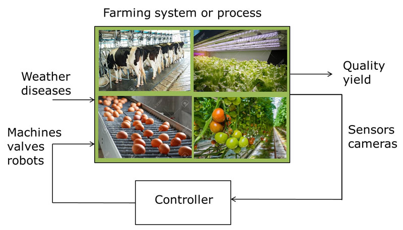 Figure 1: The feedback control loop projected onto some farming processes (source photos: www.123rf.com).