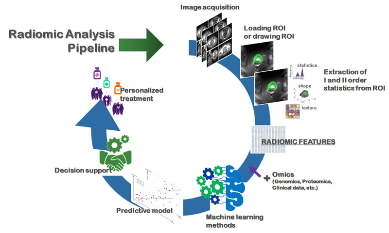 Figure 1: The pipeline of radiomic analysis toward precision medicine. For each of the imaging modalities (MRI, TC, PET, US), the first phase involves a semi-automatic or automatic segmentation of the relevant regions; this is followed by the automatic extraction of a large number of features (descriptive of the histogram, shape, texture and texture). These features are then processed with machine learning techniques, such as feature selection techniques and comparative analysis, to select the most robust ones that correlate to ground truth biomarkers (used in clinical practice). 