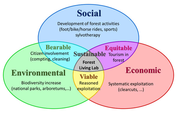 Figure 1: Different means for a sustainable forest.