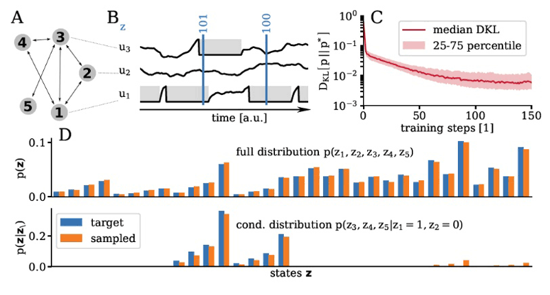Figure 3: Bayesian inference with spiking neural networks. (A, B) Neuron as spike patterns can be interpreted as binary vectors. (C) Neural dynamics can learn to sample from arbitrary probability distributions over binary spaces (D).