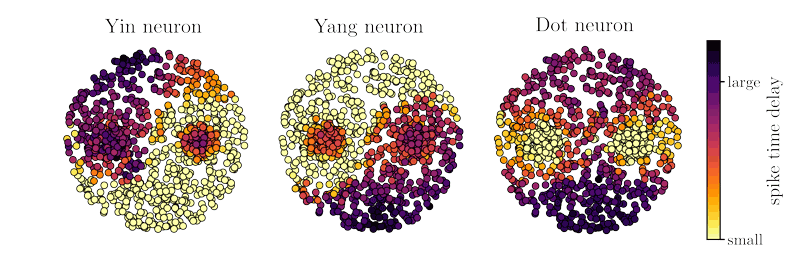 Figure 2: Artificial dataset resembling the Yin Yang symbol [3], and the output of a network trained with our algorithm. The goal of each of the target neurons is to spike as early as possible (small delay, bright yellow color) when a data point, represented as a circle, is “in their area”. One can see that the three neurons cover the correct areas in bright yellow.
