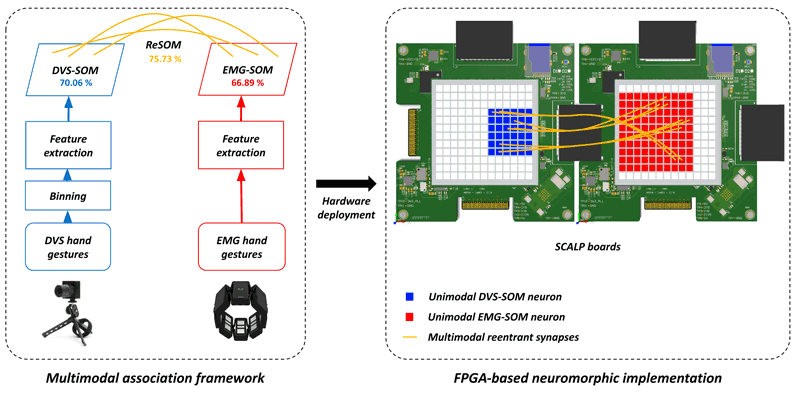 Figure 1: Reentrant Self-Organizing Map: (left) Processing pipeline from data acquisition at input to multimodal association for decision making at the output with unimodal and multimodal accuracies for a hand gestures recognition task based on a DVS camera and EMG sensor; (right) FPGA-based neuromorphic implementation of the proposed self-organizing artificial neural network on multiple SCALP boards for real-time and energy-efficient processing.