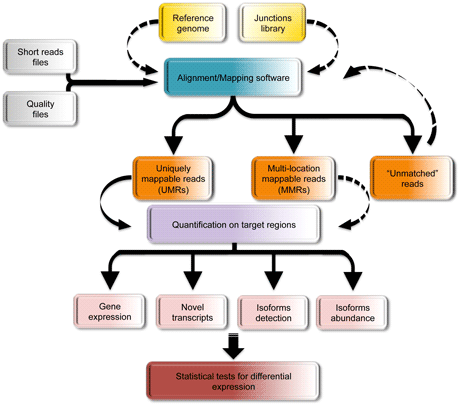 Figure 1: An example of the computational pipeline for the analysis of RNA-Seq data.