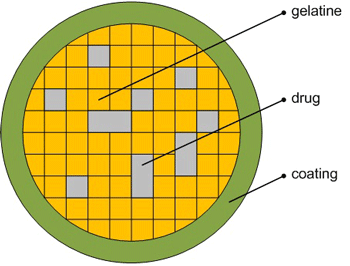 Figure 1: Design of modelled drug.