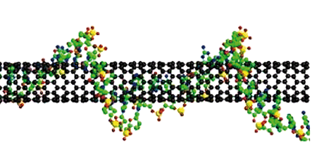 Figure 1. Example of DNA wrapping a carbon nanotube. The chemical bonding of nanotubes is composed entirely of sp2-bonds, similar to those of graphite. These bonds provide nanotubes with their unique strength, and other specific physical-chemical properties, selectively changed by the bonding with DNA filament.