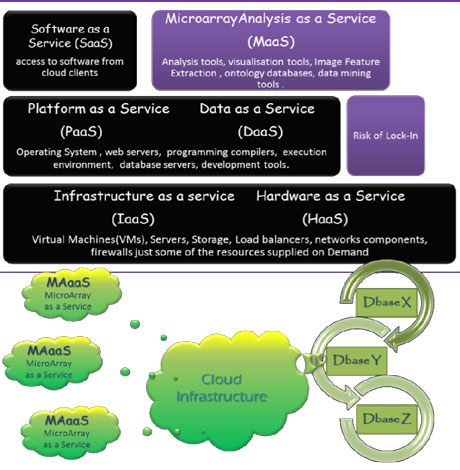 Figure 1 Possible Architecture for Microarray Cloud Computing