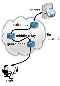 Figure 1: User contacts server through the Tor network.