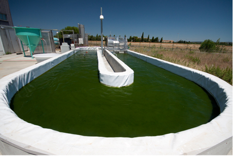 Figure 1: A typical raceway for cultivating microalgae. Notice the paddlewheel which mixes the culture suspension. Photo: INRA 
