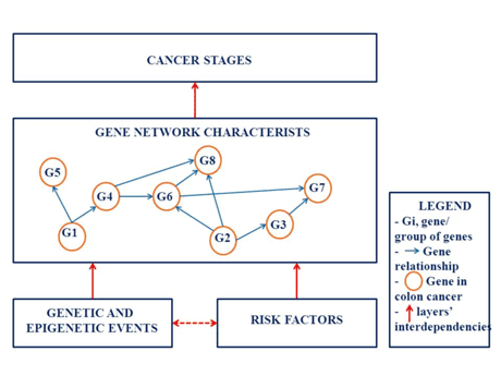 Figure 1:  Interdependencies between the main layers of the Colorectal Cancer Model – Simplified illustration