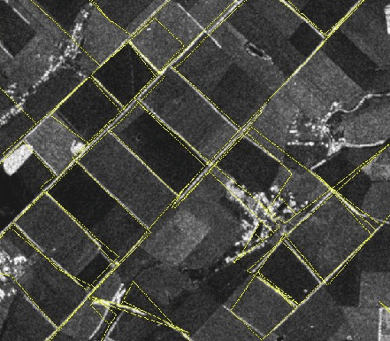 Figure 1: Mosaic (in yellow) overlaid on a Synthetic Aperture Radar image of fields in rural Ukraine.
