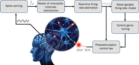 Figure 1: Schematic description of the SynchNeuro strategy. Electrical measurements of single spike recordings in specific brain structures, thanks to permanently implanted electrodes, allow to estimate the firing rate of the whole neuronal population after spike sorting and probabilistic identification. The estimated firing rate is then used off-line to identify the dynamical properties of the neuronal activity and to deduce the optimal tuning of the control gains. It is also used on-line to provide a real-time photostimulation feedback, using optogenetics, to reduce the magnitude of pathological oscillations.