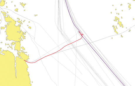 Figure 2: A small fishing boat (red) repeatedly stopped in the middle of the shipping route. It was almost hit by a large freight ship (purple).