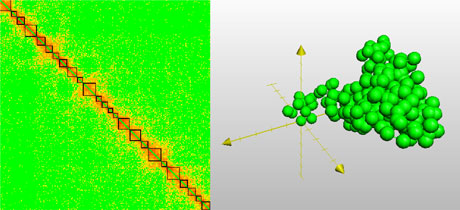 Figure 1: Left: Contact frequency matrix for a segment of the long arm of chromosome 1 (q from 150.28 Mbp to 179.44 Mbp) from human lymphoblastoid cells GM06990, in logarithmic colour scale. Data from [3]; genomic resolution 100 kbp. The highlighted diagonal blocks define our maximum-resolution TADs. Right: one of our reconstructed structures, consisting of a chain with 292 beads.