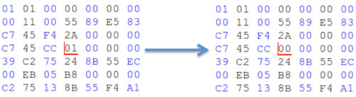 Figure 2: Machine code before and after fault injection.