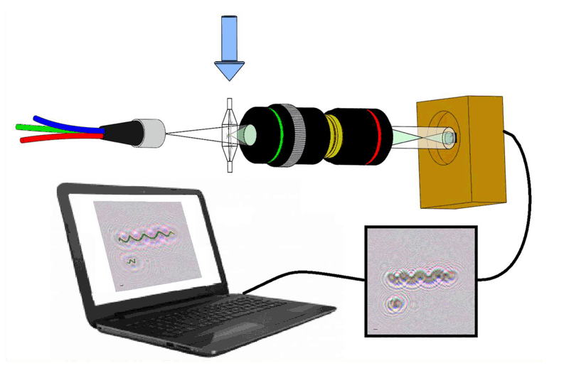 Figure 1: The scheme of the DHM measuring setup.