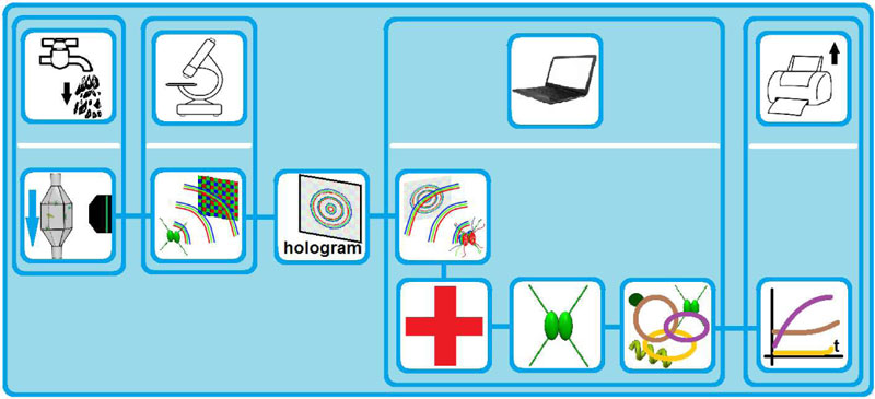 Figure 2: The scheme of the Digital Holographic Microscope based water monitoring system. It includes: the recording of the color holograms of the objects within the sample using Digital Holographic Microscope, the appropriate numerical reconstruction of the image of the objects, with the compensation of some of the measuring setup aberrations, and finally, the morphology, size and color based classification of the different microorganisms.