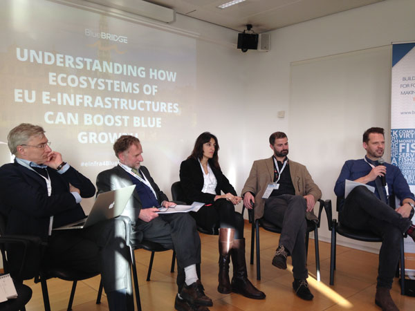 Panel session at the BlueBRIDGE workshop. 