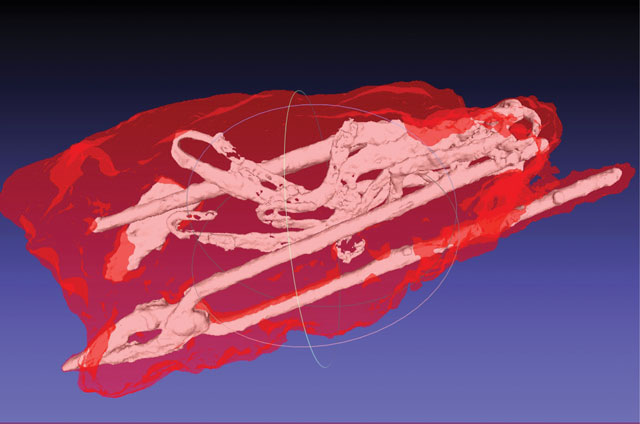 Figure 3: 3D models of the external shape and the internal tools.