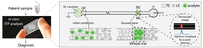 Figure 1: Schematic of ITP as a tool for in vitro diagnostics. Biochemical analytes from patient samples can be focused using ITP to increase their concentration locally. ITP uses a discontinuous buffer system to focus analytes at the interface between two electrolytes under an applied voltage V. This facilitates their detection and can lead to a faster and more sensitive diagnosis.