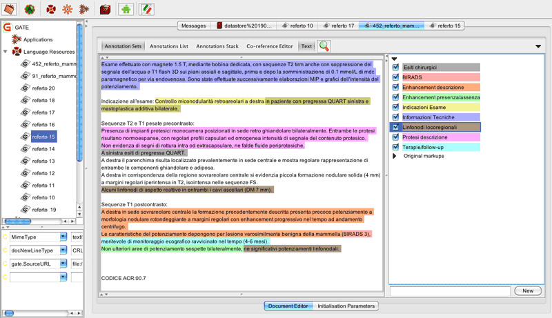 Figure 1: Screenshot displaying a radiological report annotated according to the concepts of interest.