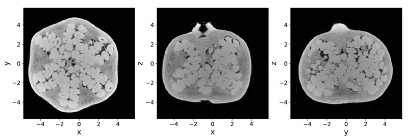 Figure 1: 3D reconstruction of a pomegranate from high-resolution X-ray CT data, clearly showing the complex internal morphology and textures. This dataset is publicly available [3]. 