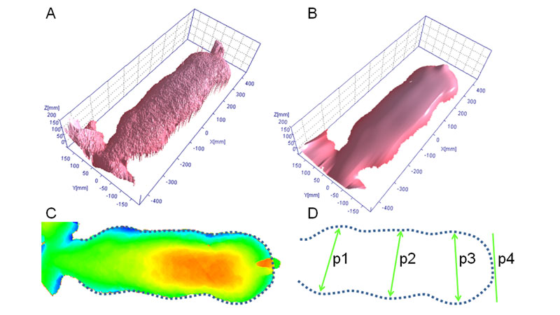Figure 2: Example of a portion of the animal back, as revealed by the top sensor before (A) and after (B) Gaussian filtering. Definition of the pig external profile (C) and localisation of the reference cross sections (D).