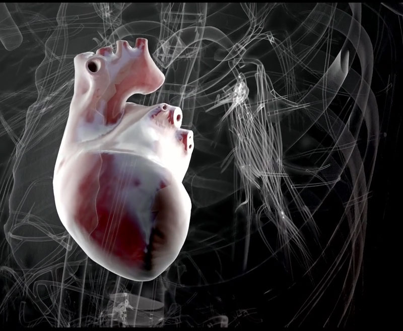 Figure 1: A beating virtual heart.