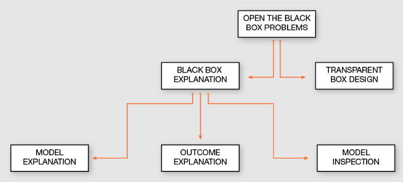 Figure 1: Open the black box problems taxonomy.