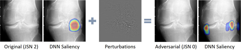 Figure 2: With perturbations beyond human perception, deep learning often leads to both wrong decisions and wrong corresponding interpretation.AI. Involving them in solutions is crucial for successful applications.