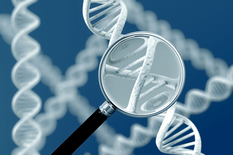 CWI researchers are currently developing AI techniques to help identify the genetic characteristics that lead to disease. Picture: Shutterstock.