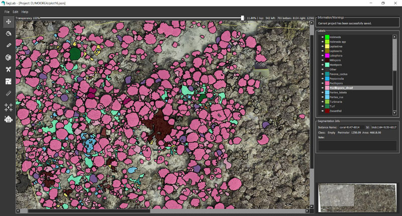 Figure 2: TagLab – an interactive semi-automatic tool for semantic segmentation and annotations of coral reef otho-mosaics.