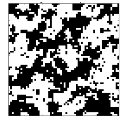 Figure 1: Auto-logistic model of disease spread. The white pixels show where the disease has appeared and black is the background.