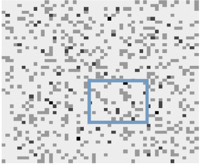 Figure 3: Patterns of disease spread: the darker shades indicate the regional pattern combining various Ising realisations. The rectangular frame indicates the uncertain region.