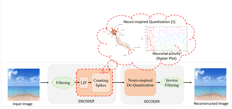 Figure 1: An illustration of the neuro-inspired compression mechanism that enables efficient reduction of the number of bits required to store an input image using the Leaky Integrate-and-Fire (LIF) model as an approximation of the neuronal spiking activity. According to this ground-breaking architecture, an input image can be transformed into a sequence of spikes which are utilised to store and/or transmit the signal. The interpretation of the spike sequence based on signal processing techniques leads to high reconstruction quality results.