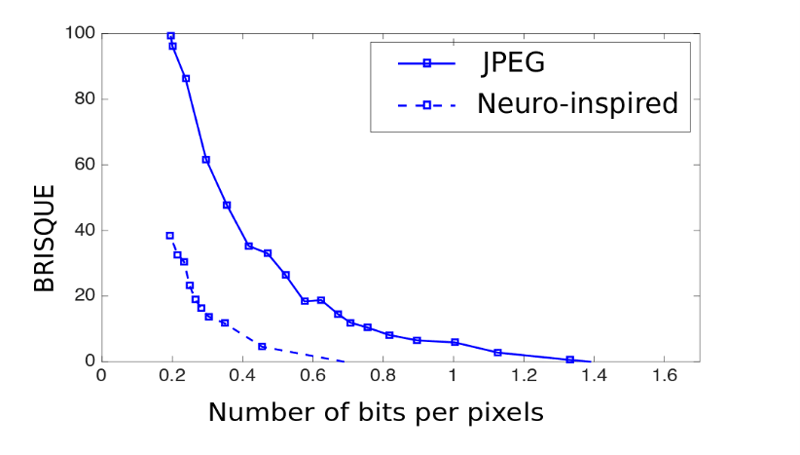 Figure 2: This graph shows that the BRISQUE algorithm that has been trained to detect the natural characteristics of visual scenes is able to detect far more of these characteristics within images that have been compressed using the neuro-inspired compression than the JPEG standards. The BRISQUE scores are typically between 0 and 100, where the lower the score the better the natural characteristics of the visual scene.