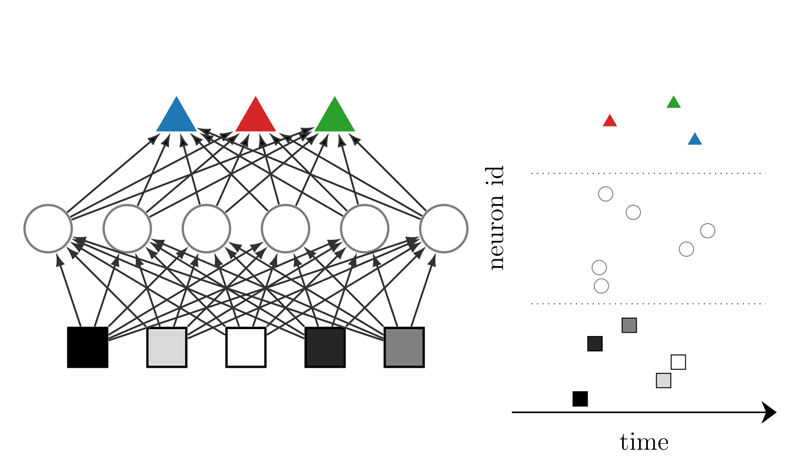 Figure 1: (Left) Discriminator network consisting of neurons (squares, circles, and triangles) grouped in layers. Information is passed from the bottom to the top, e.g. pixel brightness of an image. Here, a darker pixel is represented by an earlier spike. (Right) Each neuron spikes no more than once, and the time at which it spikes encodes the information.