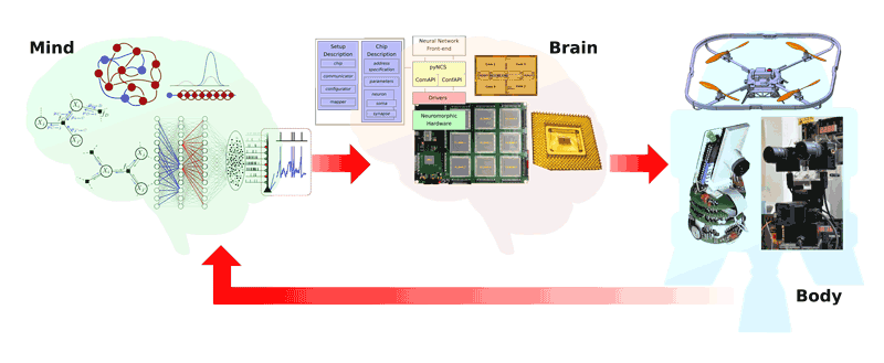 Figure 1: The mind, brain, and body parts of the NeuroAgents project: neural models and architectures are mapped onto neuromorphic processor chips. Neuromorphic sensors and processors are mounted on robotic platforms for real-time interaction with the environment. The models validated in real-world settings are refined, leading to new chip designs and applications in a virtuous loop