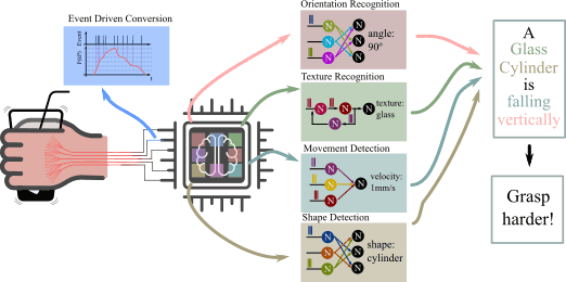 Figure 1: A graphical representation of the desired outcome of our project. The realised architecture takes information from biologically inspired sensors, interfacing with the environment. The outcoming data are translated into spikes using event-driven circuits and provide input to different parts in the electronic chip. These different parts are responsible for analysing the incoming spikes and delivering information about environmental properties of objects. The responses are then used to generate an approximation about what is happening in the surroundings and impact the reaction of the autonomous agent.