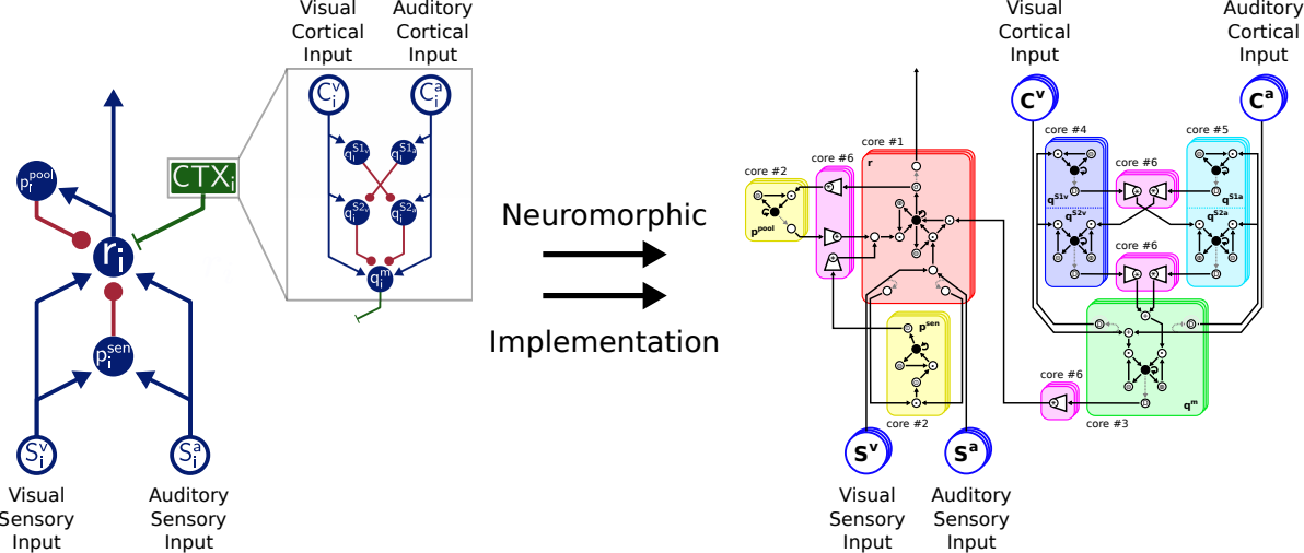 Figure 1: Model Architectures. Left panel, architecture of the multisensory integration model. Blue lines indicate excitatory connections, green lines indicate modulatory connections, and red lines indicate inhibitory connections. Green box is modulatory cortical signal that is elaborated in grey box. Filled circles represent model neurons, hollow circles indicate inputs to the model. Letters indicate the name of neurons and inputs. Right panel, arrangement of the model architecture on the TrueNorth neurosynpatic chip. Note the similar hierarchy of the architectures with differences only in the fine structure. Adapted from [2], Creative Commons license 4.0 (https://creativecommons.org/licenses/by/4.0/)