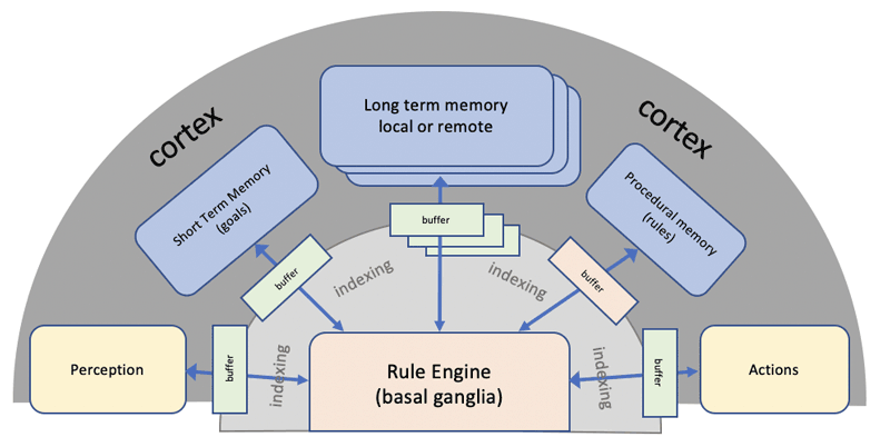 Figure 2: Cortico-basal ganglia circuit for cognition.