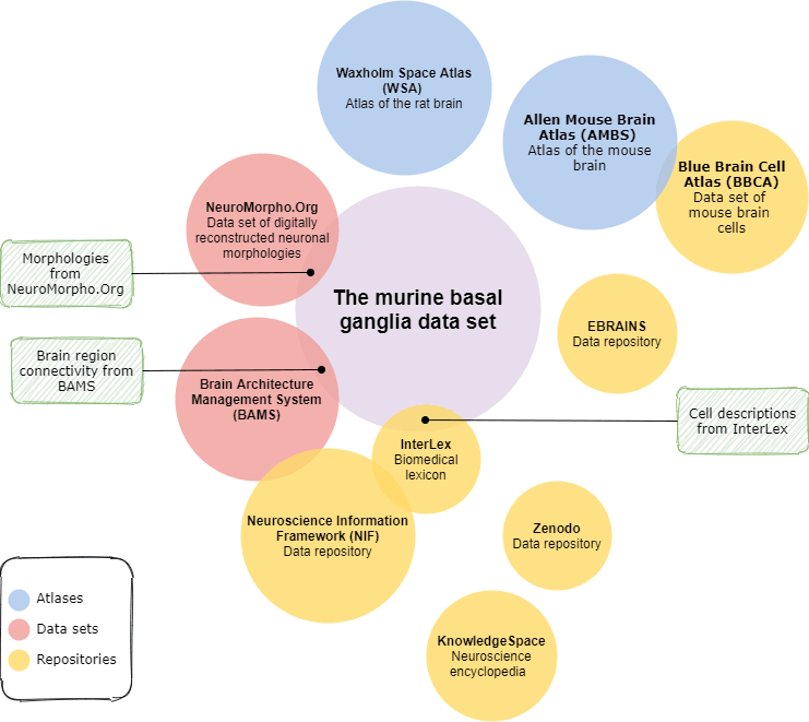 Figure 1: An overview of initiatives investigated for overlap with the murine basal ganglia dataset.