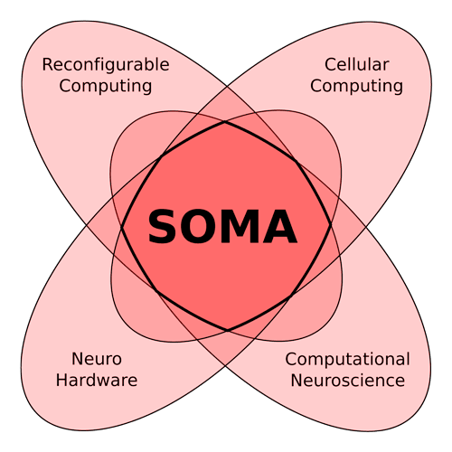 Figure 1: SOMA is a convergence point between past research approaches toward new computation paradigms: adaptive reconfigurable architecture, cellular computing, computational neuroscience, and neuromorphic hardware.