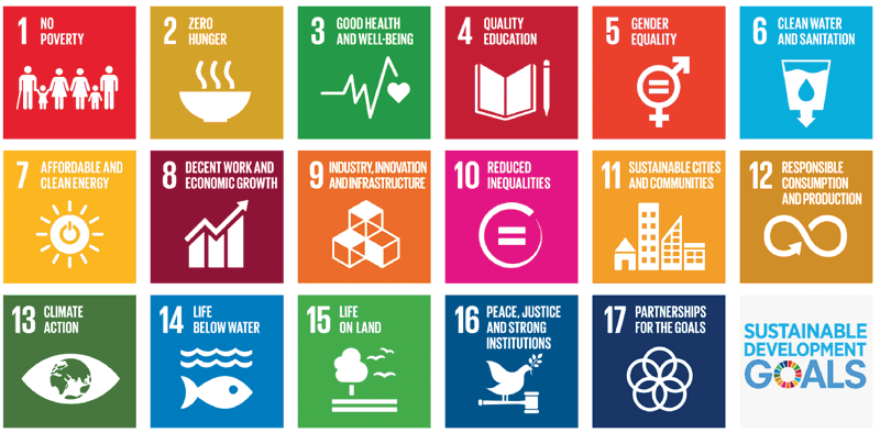 Figure 1: The 17 UN Sustainable Development Goals (SDGs). Source: un.org.