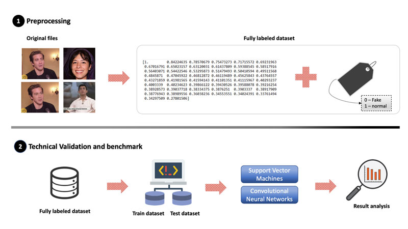 Figure 1: Overall architecture of the preprocessing and technical validation of the dataset.