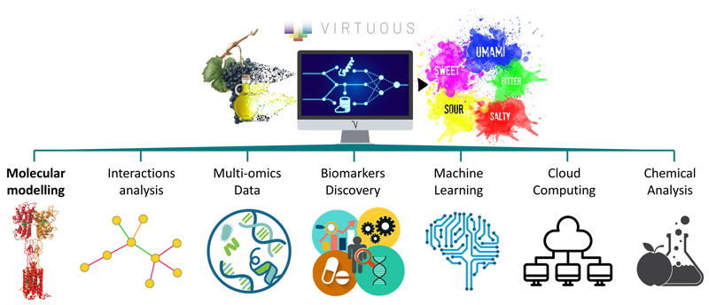 Figure 1. Schematic representation of the VIRTUOUS platform organisation.